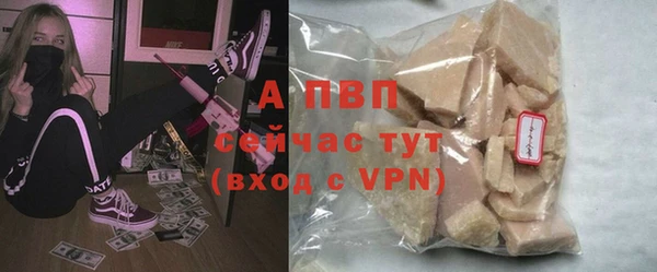 гидра Покачи