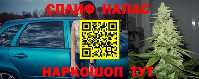 гидра Заволжье
