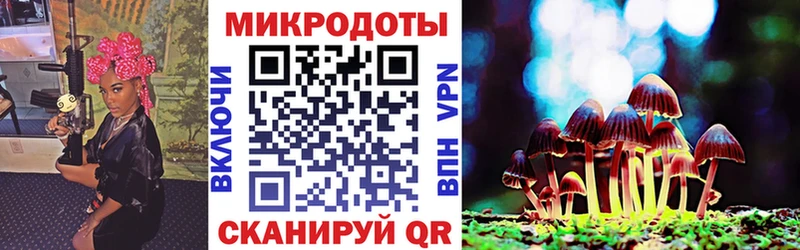 блэк спрут вход  продажа наркотиков  Кулебаки  Псилоцибиновые грибы Psilocybine cubensis 