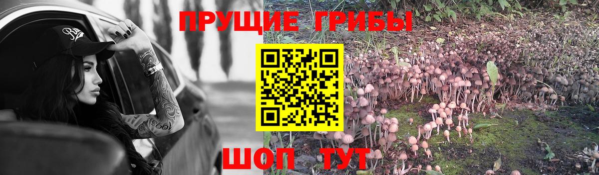 Кулебаки  Галлюциногенные грибы GOLDEN TEACHER  Галлюциногенные грибы прущие грибы  Вход с VPN 